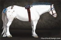 Horse Color:Bay Ice Appaloosa 