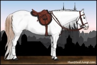 Horse Color:Smoky Black Tobiano Appaloosa