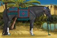 Horse Color:Smoky Black 