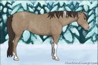 Horse Color:Classic Champagne Tobiano Rabicano