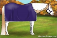 Horse Color:Gold Champagne Splash Tobiano 