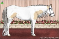 Horse Color:Amber Cream Champagne Splash Tobiano