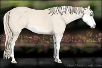 Horse Color:Perlino Sabino Brindle