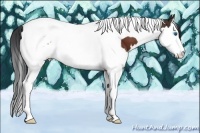 Horse Color:Bay Sabino Splash Tobiano 