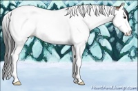 Horse Color:Bay Splash Tobiano Rabicano
