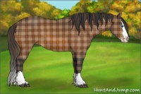 Horse Color:Plaid Bay Sabino Splash