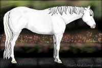 Horse Color:Silver Smoky Black Tobiano Appaloosa