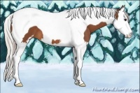 Horse Color:Silver Bay Sabino Splash Tobiano