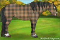 Horse Color:Plaid  Bay Sabino 