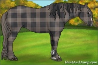 Horse Color:Plaid Black Sabino