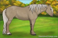 Horse Color:Silver Smoky Grullo Sabino 
