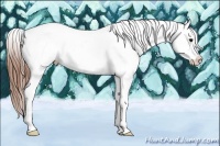 Horse Color:Grullo Splash Tobiano Appaloosa 