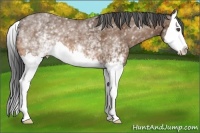 Horse Color:White Spotted Buckskin Splash 