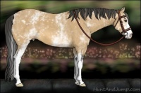 Horse Color:White Spotted Buckskin
