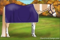 Horse Color:Gold Champagne Splash Tobiano 