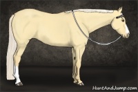 Horse Color:Palomino Roan Dun