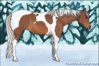 Horse Color:Silver Bay Tobiano