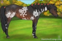 Horse Color:Brown Ice 