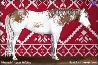 Horse Color:White Spotted Silver Bay Splash