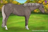 Horse Color:Silver Black 
