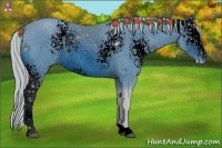 Horse Color:ERROR: UNKNOWN ANOMALY