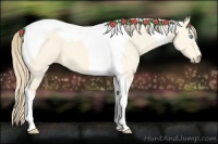 Horse Color:Perlino Dun Tobiano