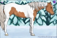 Horse Color:Silver Bay Tobiano