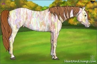 Horse Color:Chestnut Ice Sabino 