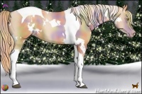 Horse Color:Nacre White Spotted Chestnut Pearl Tobiano