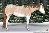 Horse Color:Bay Ice Pearl Sabino Splash