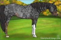 Horse Color:Liver Chestnut Ice Rabicano 