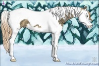 Horse Color:Gold Champagne Ice Dun Splash Tobiano 