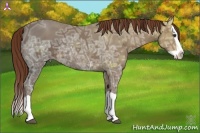 Horse Color:Chestnut Ice Splash 