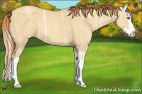 Horse Color:Gold Champagne Ice Dun Splash 