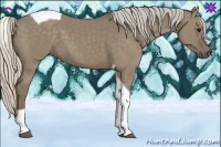 Horse Color:Silver Grullo Tobiano 