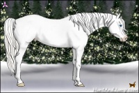 Horse Color:Silver Bay Pearl Dun Splash Tobiano Appaloosa Rabicano 