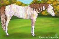 Horse Color:Chestnut Ice Splash 