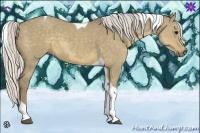 Horse Color:Silver Smoky Grullo Tobiano