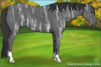 Horse Color:Smoky Black Ice 