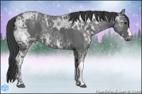 Horse Color:Smoky Black Ice 