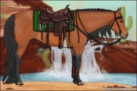 Horse Color:Bay Rabicano 