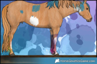 Horse Color:Watercolor White Spotted Liver Chestnut  Brindle