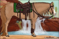 Horse Color:Chestnut Splash 