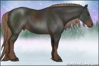 Horse Color:Liver Chestnut Sabino 