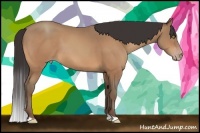 Horse Color:Amber Champagne 