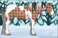 Horse Color:Plaid Bay Splash Tobiano
