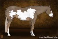 Horse Color:Chocolate Palomino Frame 