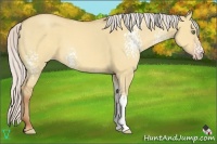Horse Color:White Spotted Silver Sable Champagne Dun 