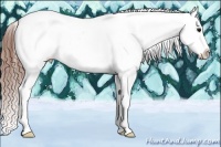 Horse Color:White Spotted Grullo Tobiano Appaloosa 