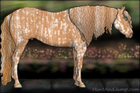 Horse Color:Chocolate Palomino Ice Pearl Sabino Appaloosa Rabicano  Brindle